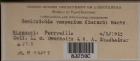 Image Associated With the Occurence